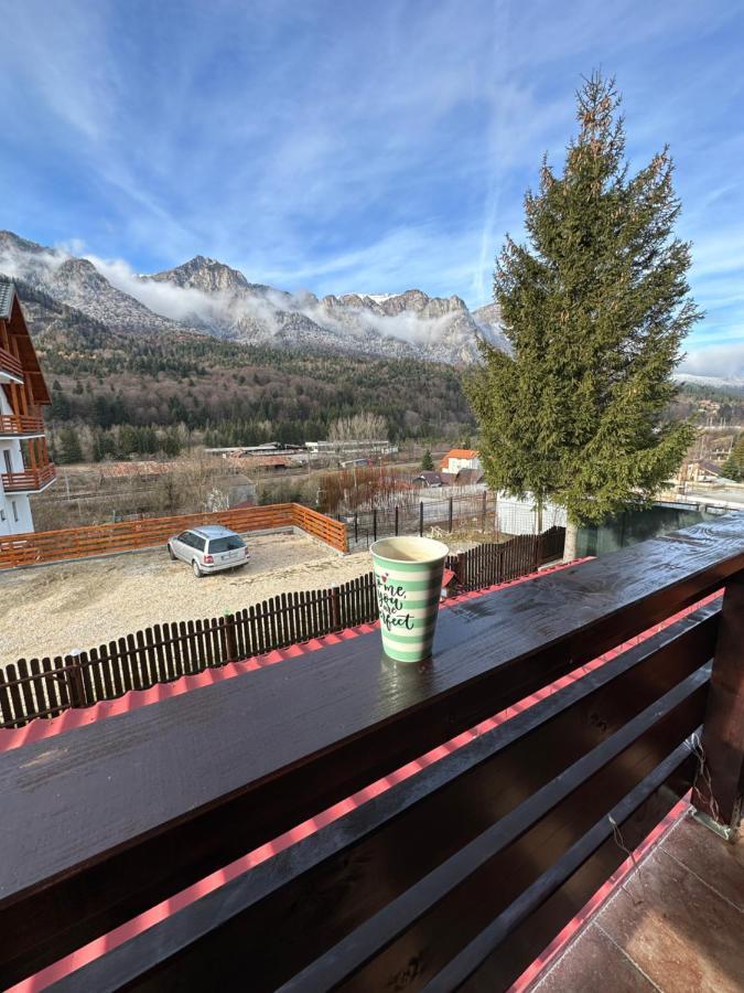 Casa Rares Buşteni Buitenkant foto