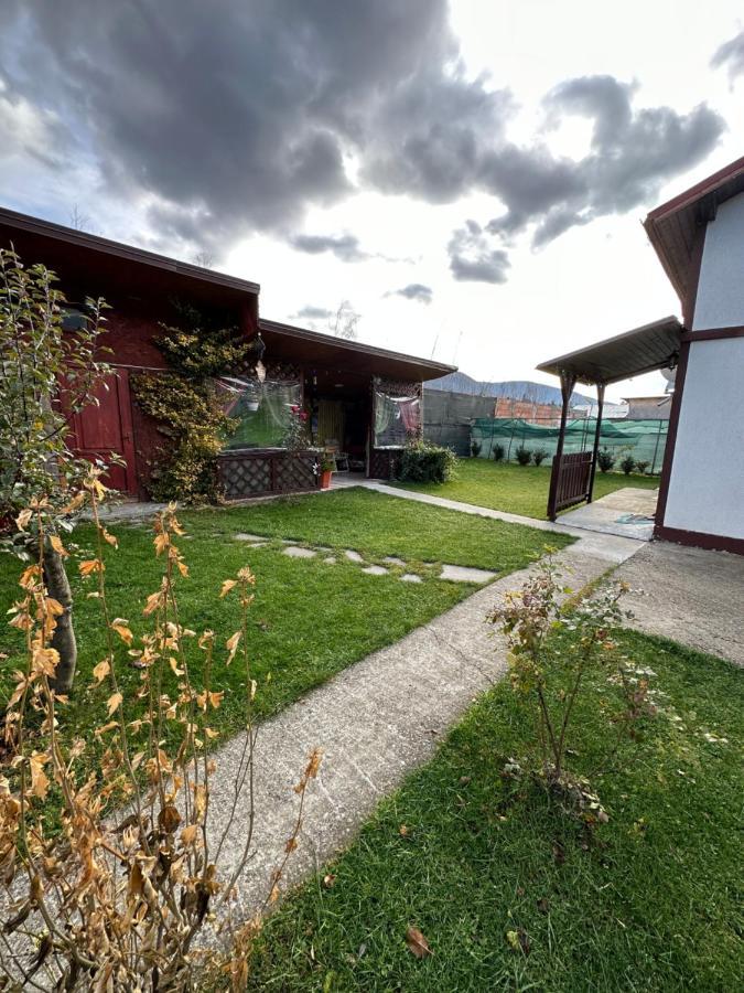 Casa Rares Buşteni Buitenkant foto